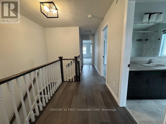 245 WESLEY BOULEVARD - 19