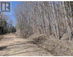 Lot Ween Street, Mount Hanley, NS B0S1P0 Photo 7