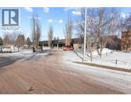 308 2 Avenue, Bassano, AB T0J0B0 Photo 6