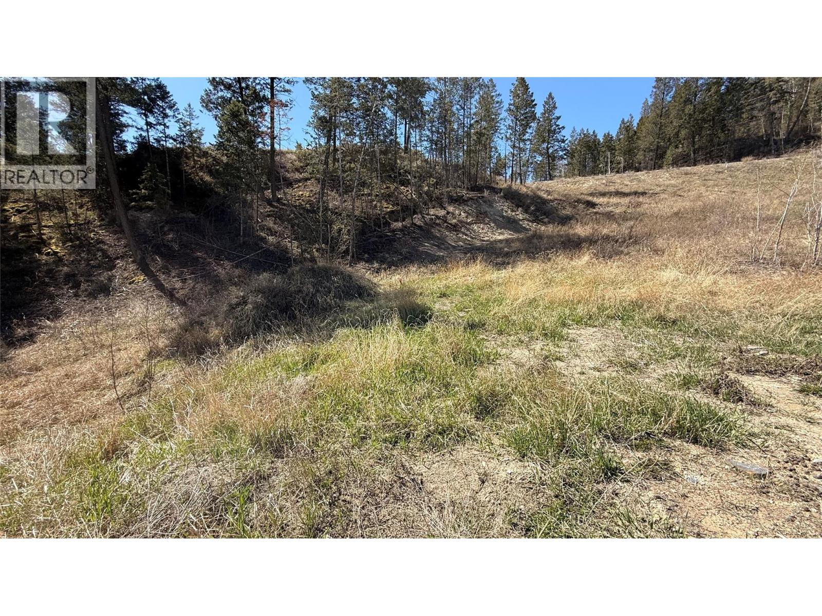 Columbia Lake Road Lot# 17, Fairmont Hot Springs