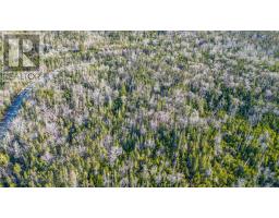 255 Shad Point Parkway, Blind Bay, NS B3Z4C1 Photo 7
