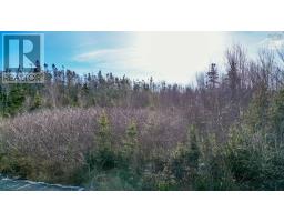 255 Shad Point Parkway, Blind Bay, NS B3Z4C1 Photo 6