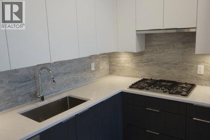 507 11641 227 STREET, Maple Ridge