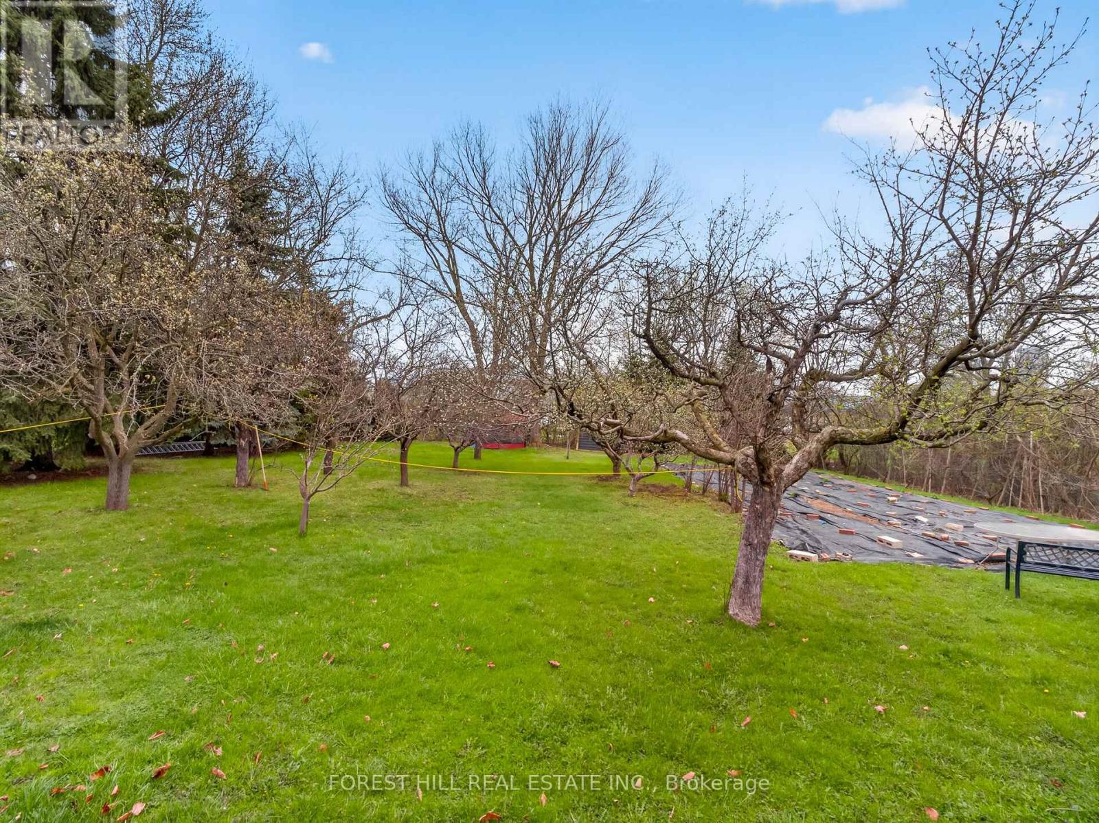 27 VAUGHAN BOULEVARD - 10