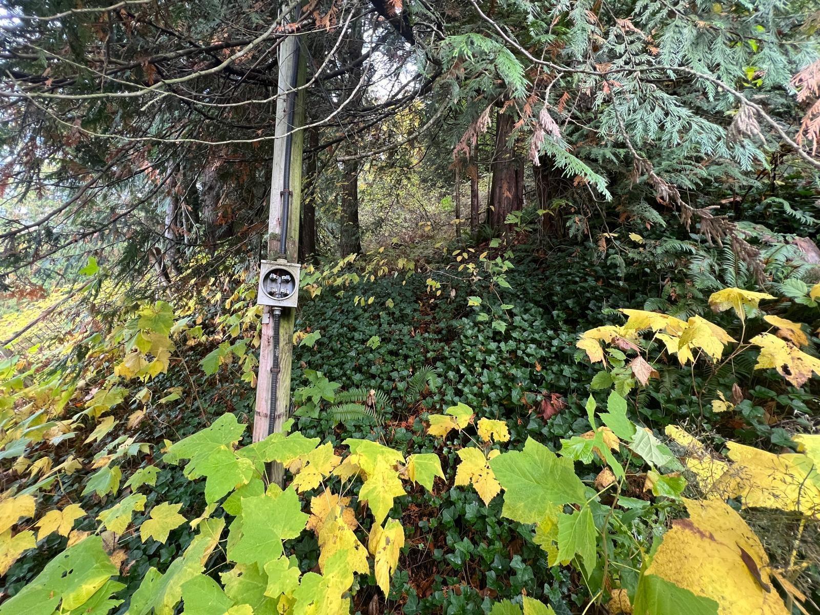 45992 GURNEY ROAD, Cultus Lake East, Cultus Lake