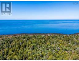 Lot 1 #217 Highway, Centreville, NS B0V1A0 Photo 6