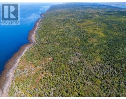 Lot 1 #217 Highway, Centreville, NS B0V1A0 Photo 7