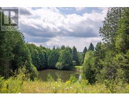 264701 Southgate 26 Road, Southgate, ON N0C1L0 Photo 9