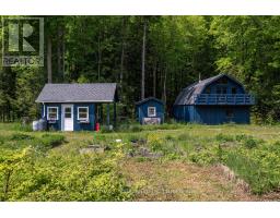 215319 Concession 4, Chatsworth, ON N0H2V0 Photo 43