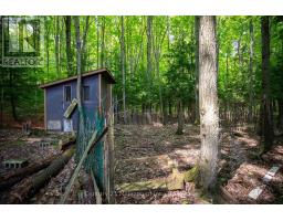 215319 Concession 4, Chatsworth, ON N0H2V0 Photo 42