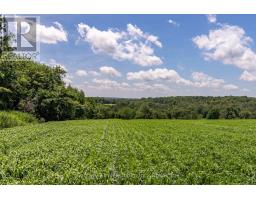 775678 Highway 10, Chatsworth, ON N0C1H0 Photo 13