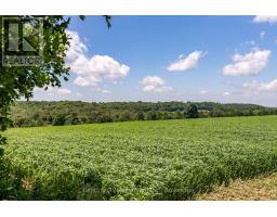 775678 Highway 10, Chatsworth, ON N0C1H0 Photo 12