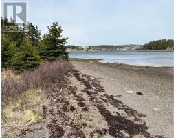 213A Creston Boulevard thumbnail 4