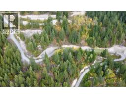 3483 95 Highway Lot# 2, Parson, BC V0A1L0 Photo 19