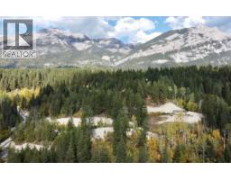 3483 95 Highway Lot# 2, Parson, BC V0A1L0 Photo 21