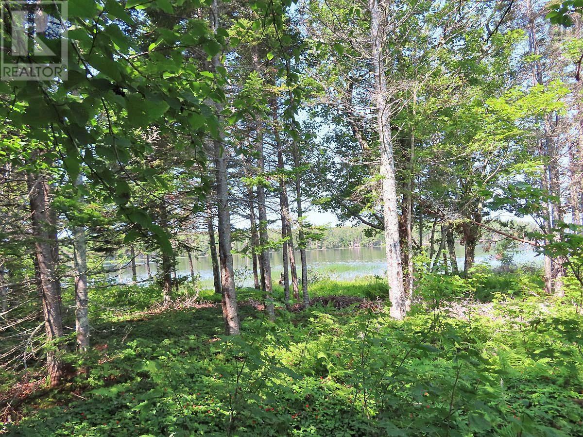 Property 15 of 41 of 83.9 Acres Grand Mira South Road