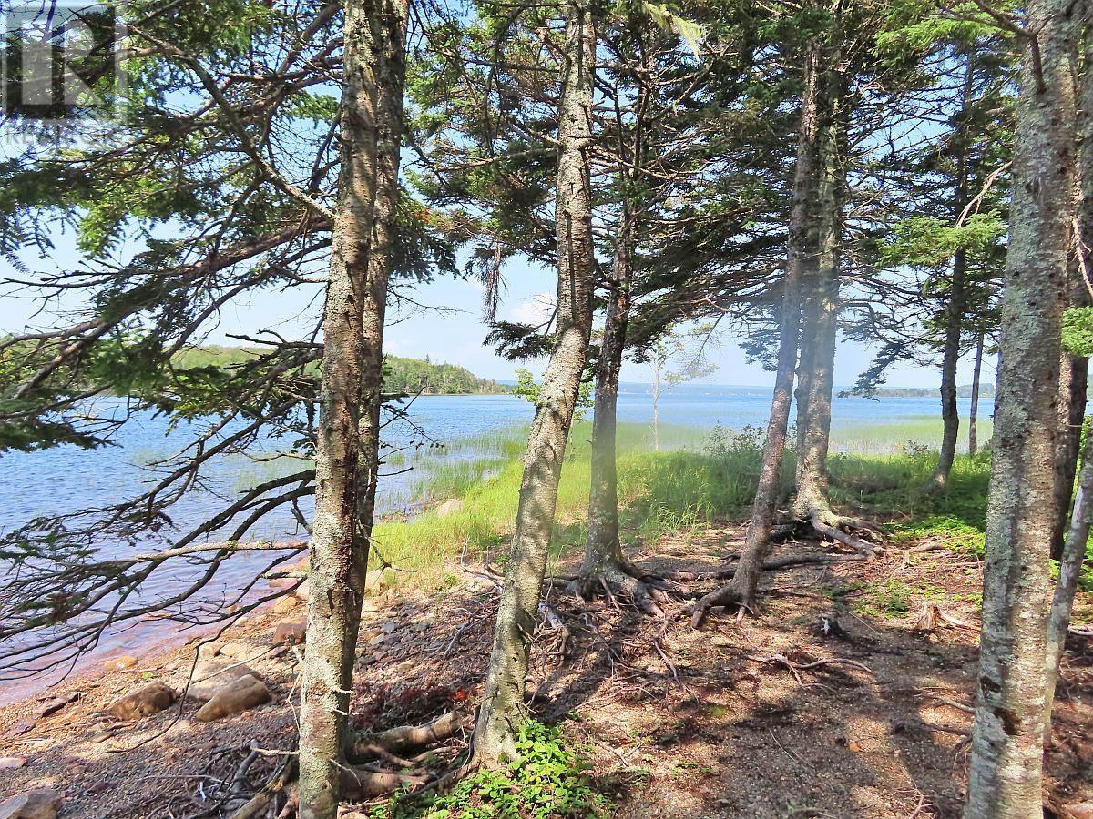 Property 13 of 41 of 83.9 Acres Grand Mira South Road