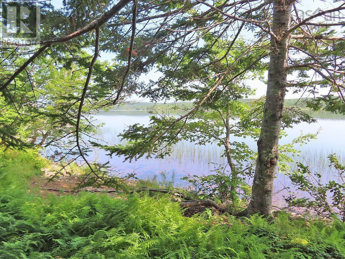 Property 23 of 41 of 83.9 Acres Grand Mira South Road