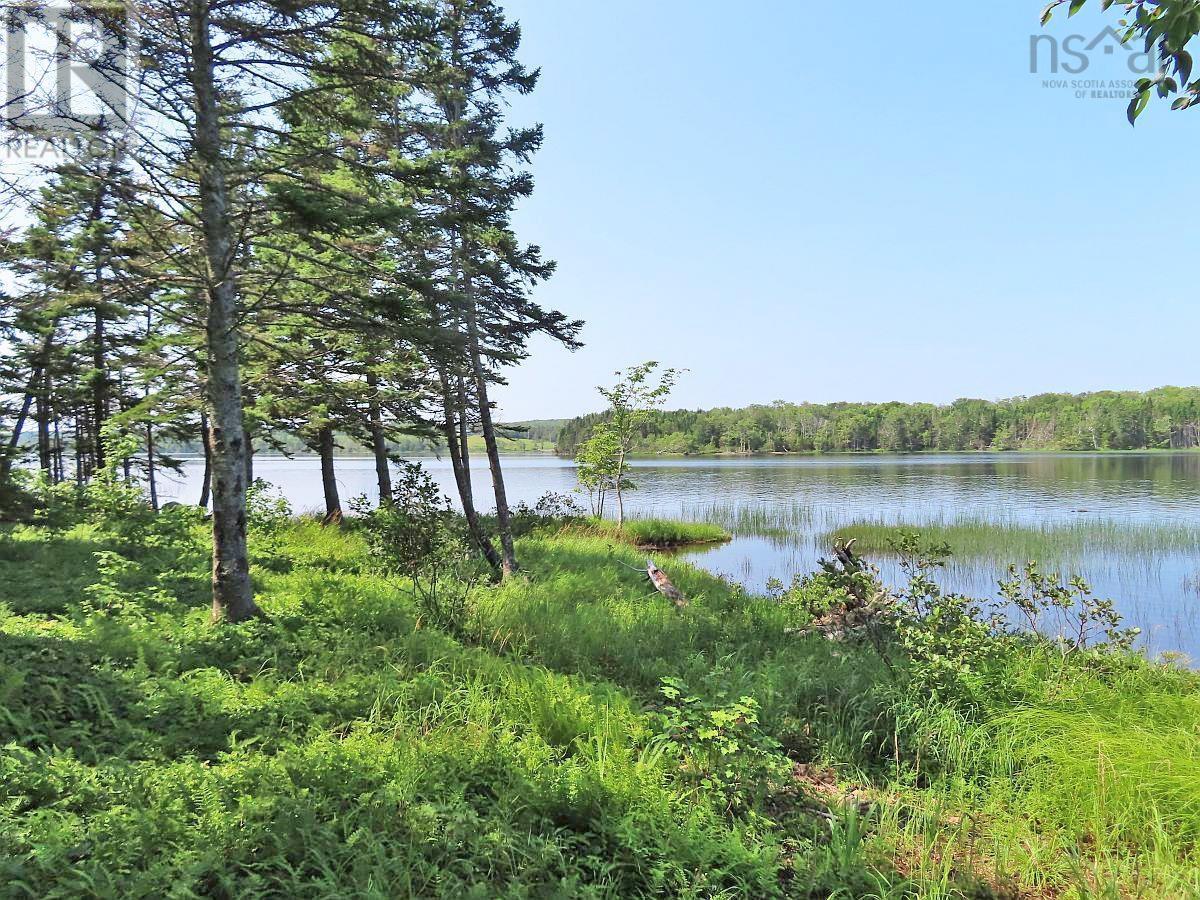 Property 25 of 41 of 83.9 Acres Grand Mira South Road