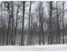 444613 Concession 8, West Grey, ON N0C1H0 Photo 6