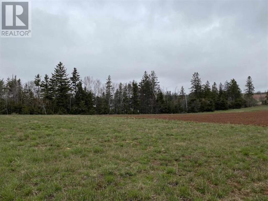 Lot 21-4 Kildare Lane, Kildare — photo 2