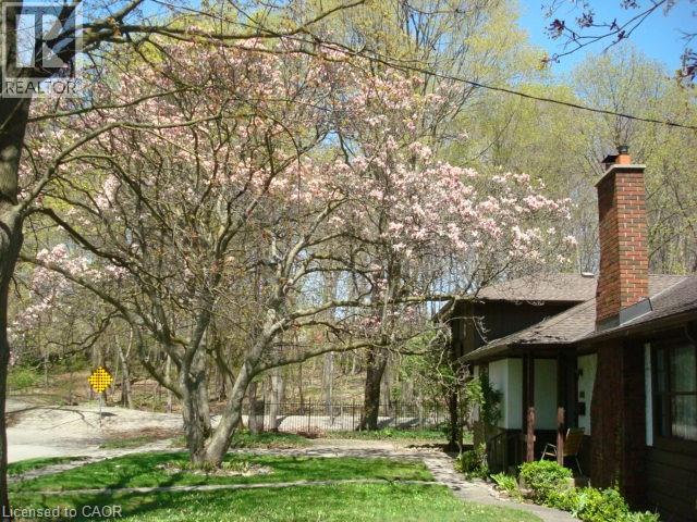 135 GLENFOREST Road - 4