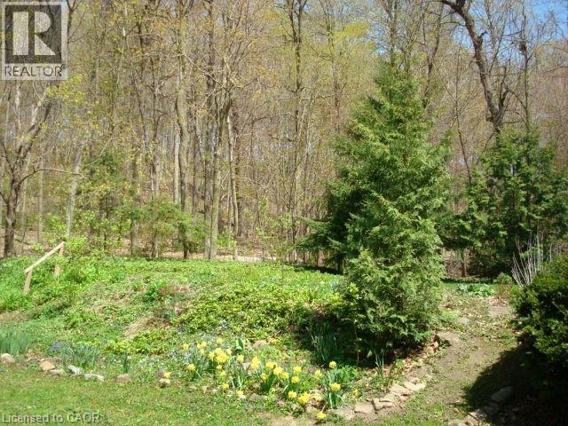 135 GLENFOREST Road - 9