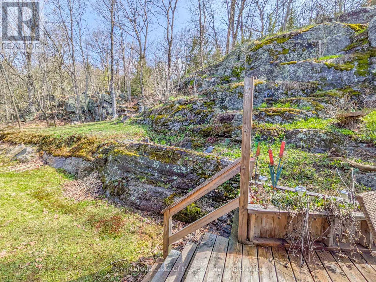 1441 CEDAR LANE - 4