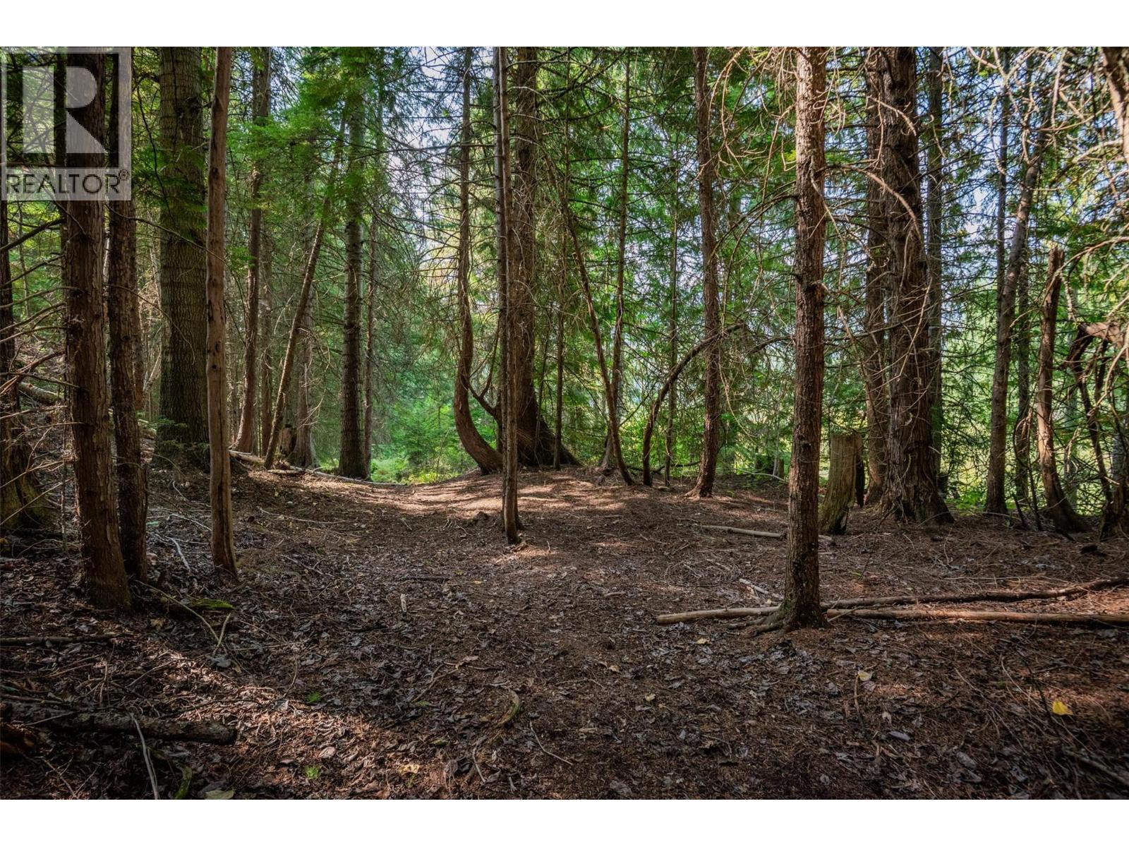 2496 Pass Creek Road - 44