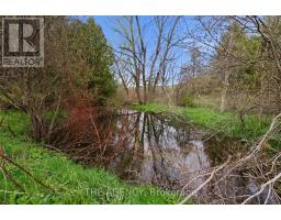 1610 Concession Rd 7 Road, Clarington, ON L0B1J0 Photo 45