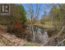 1610 Concession Rd 7 Road, Clarington, ON L0B1J0 Photo 24
