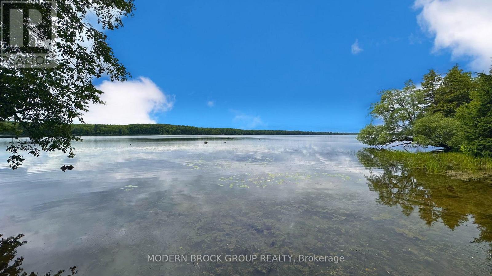 94 GRAHAM LAKE ROAD - 12