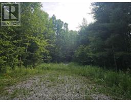 3878 Cambrian Road, Severn, ON L0K2B0 Photo 10