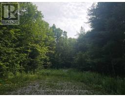 3878 Cambrian Road, Severn, ON L0K2B0 Photo 22