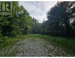 3878 Cambrian Road, Severn, ON L0K2B0 Photo 23