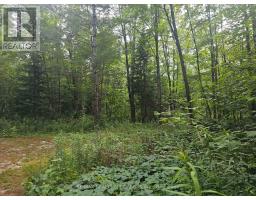 3878 Cambrian Road, Severn, ON L0K2B0 Photo 25