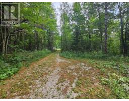 3878 Cambrian Road, Severn, ON L0K2B0 Photo 26