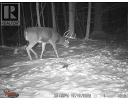 3878 Cambrian Road, Severn, ON L0K2B0 Photo 27