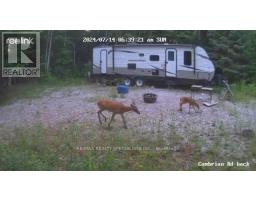 3878 Cambrian Road, Severn, ON L0K2B0 Photo 29