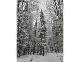 3878 Cambrian Road, Severn, ON L0K2B0 Photo 34
