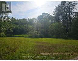 3878 Cambrian Road, Severn, ON L0K2B0 Photo 8