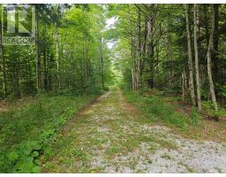 3878 Cambrian Road, Severn, ON L0K2B0 Photo 9