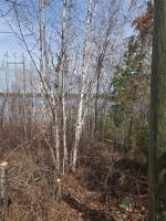 32 Granite Point Road, Great Falls, MB R0E0V0 Photo 7