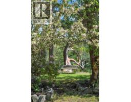 1395 Manzanita Rd, Cortes Island, BC V0P1K0 Photo 34
