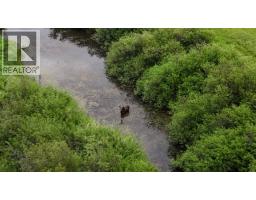10260 Nazko Road, Quesnel, BC V2J3H9 Photo 10