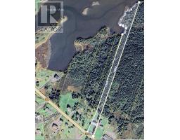 1659 Ns-206 Highway, West Arichat, NS B0E3J0 Photo 46