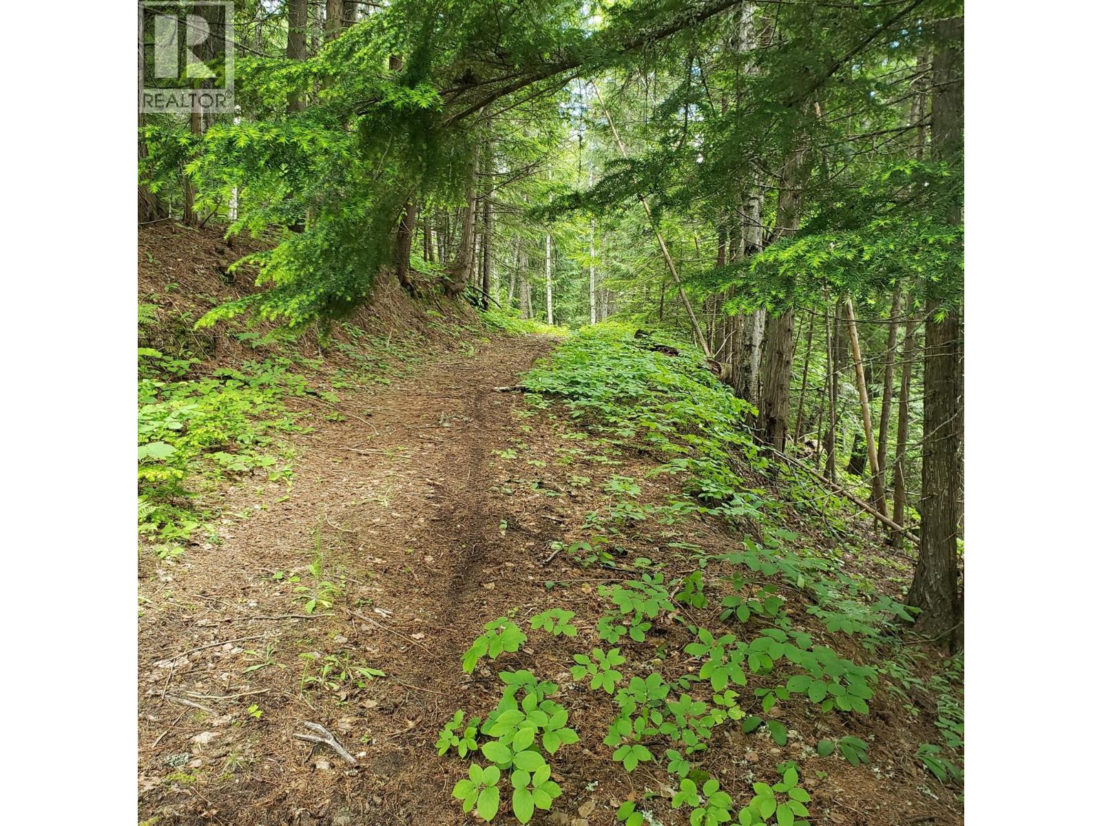 2660 SHOREACRES-GOOSE CREEK Road - 58