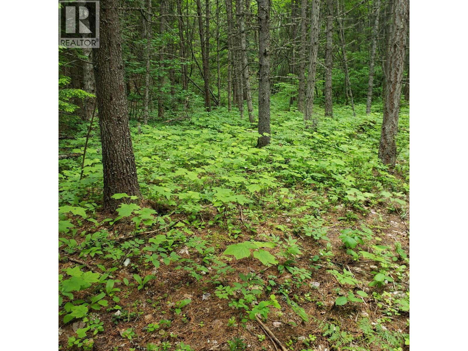 2660 SHOREACRES-GOOSE CREEK Road - 59