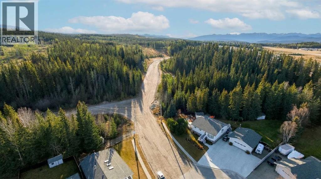 Drone shot Trail Area