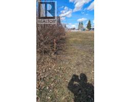 4946 PARKVIEW Crescent, Castor — photo 4